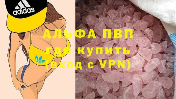 гашик Нея