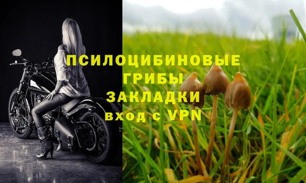 спиды Нефтегорск