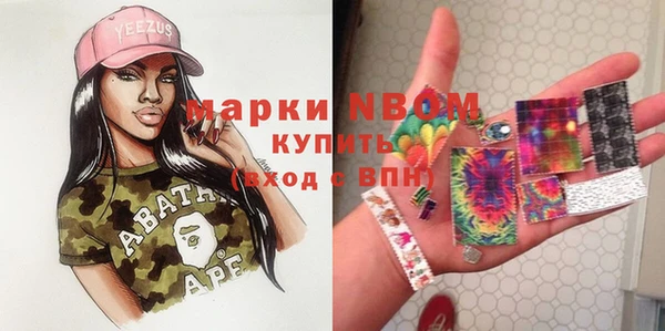 гашик Нея