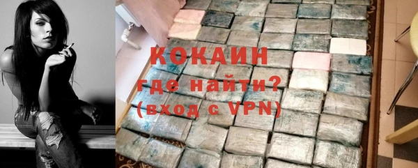 гашик Нея