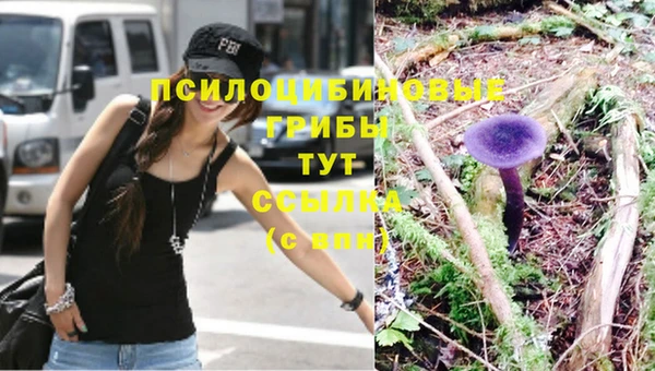 гашик Нея